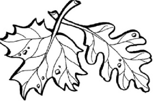 Fallende Eichenblätter