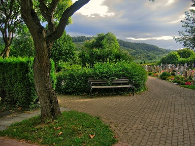 Ein Weg auf dem Friedhof