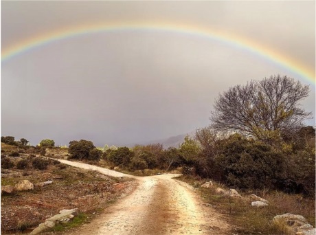 Ein Weg durch die Heidelandschaft wird von einem Regenbogen überspannt.