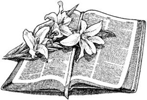Aufgeschlagene Bibel mit Lielienblüten
