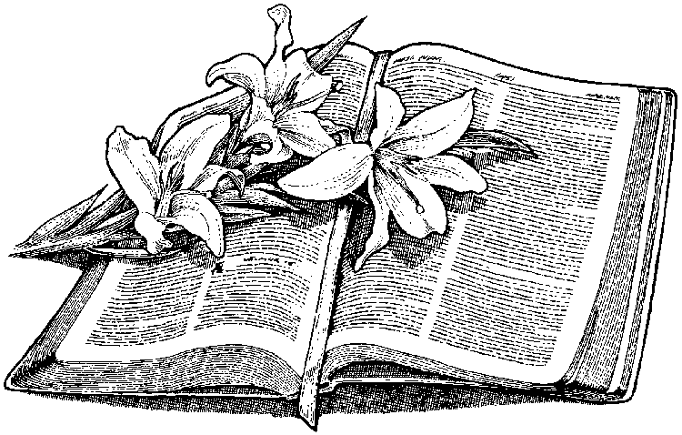 Offene Bibel mit Lilien