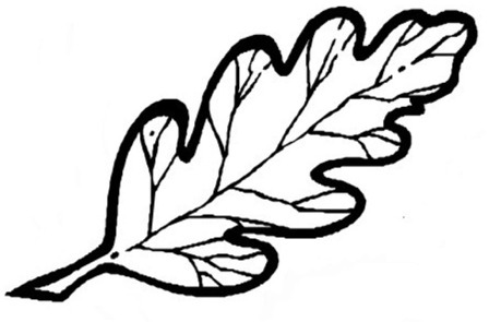 gezeichnetes Eichenblatt