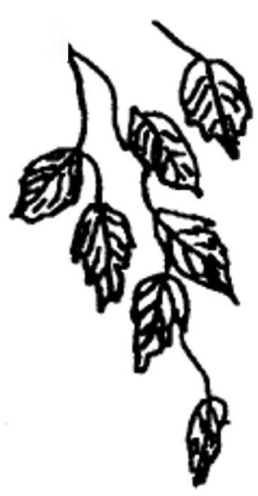 Grafiken Bäume, fallende Blätter, Blumen