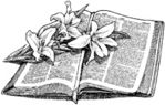 offene Bibel mit Lilien